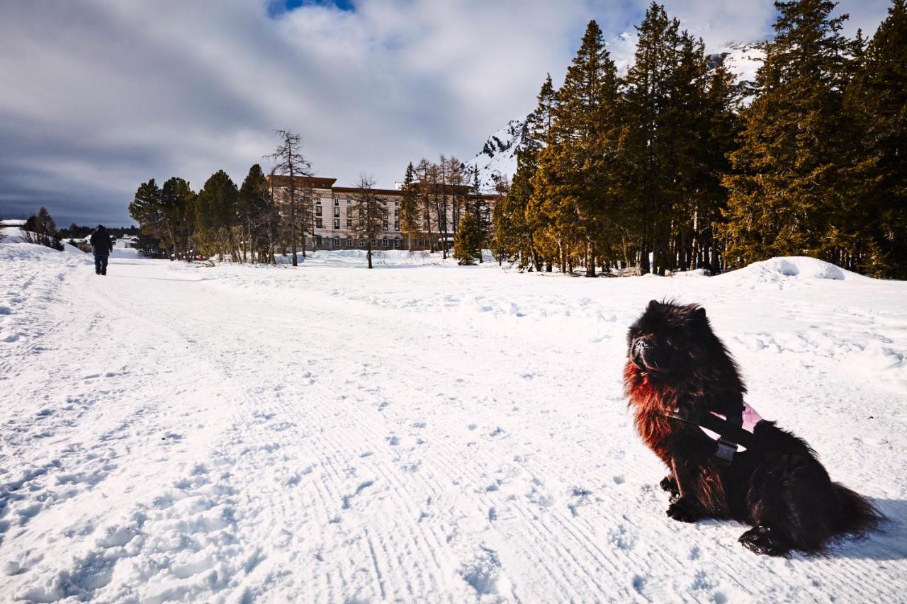 Palace Engadin-st Moritz Co2-neutral